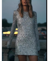 Sexy turtleneck with long sleeves dress