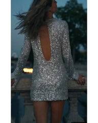 Sexy turtleneck with long sleeves dress
