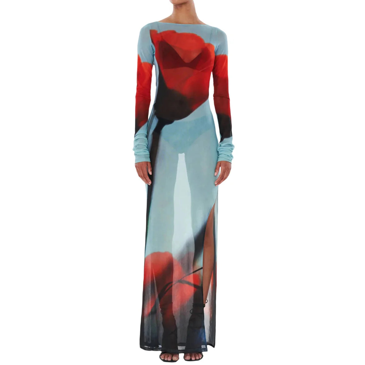 Slim Fit See-through Long Dress Cover-Up