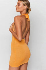 Samara Dress-Halter Sleeveless Bodycon Knitted Backless Mini Dress